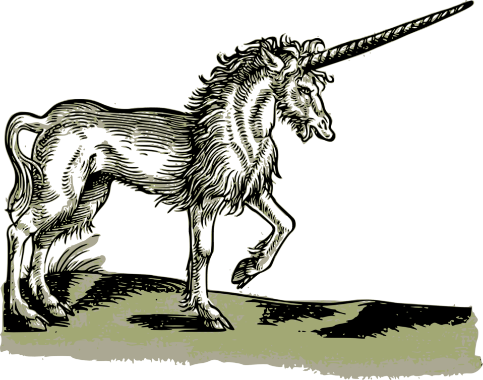 unicorn goat