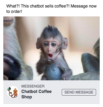 messenger chatbot for instagram: finished ad