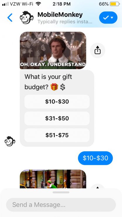 Gift Finder Chatbot: Screen shot of a product recommendation bot asking for budget
