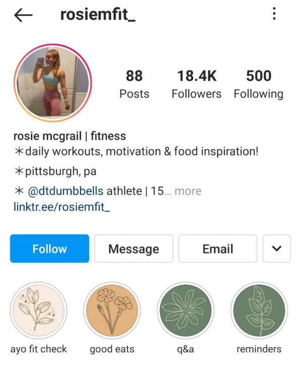 Rosie McGrail Instagram Story Highlight example